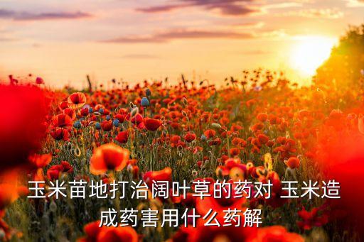 玉米打農藥用什么好用,什么農藥能讓玉米不結棒