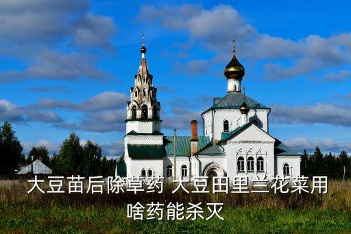 大豆什么時間開花,大豆開花后打什么農(nóng)藥好