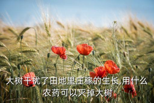 樹木栽植時(shí)需要什么農(nóng)藥