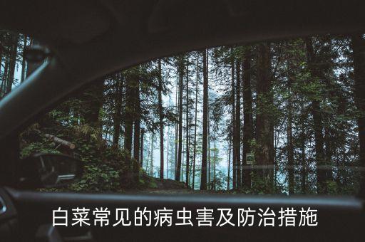 白菜常見的病蟲害及防治措施
