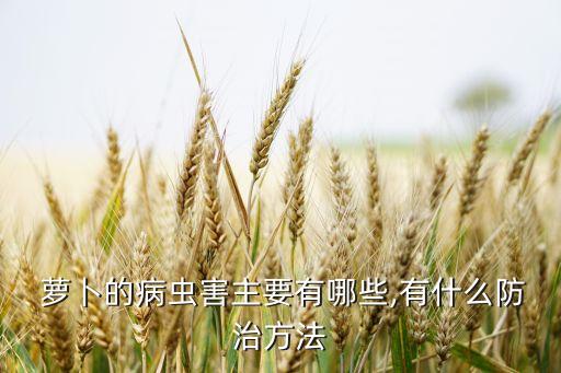 蘿卜的病蟲害主要有哪些,有什么防治方法