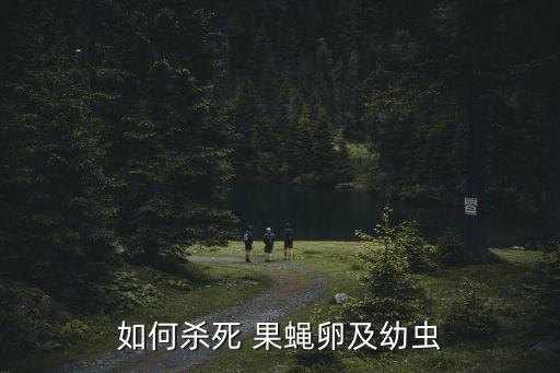 防治果蠅最好的農藥,果蠅有什么農藥