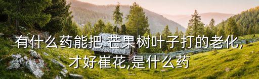 有什么藥能把 芒果樹葉子打的老化,才好崔花,是什么藥