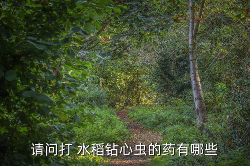 水稻殺蟲農藥什么最好,水稻專用特效殺蟲農藥有哪些品牌