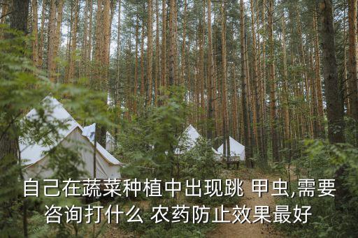 跳甲蟲用什么農藥最好,小蘇打殺蟲最佳配方