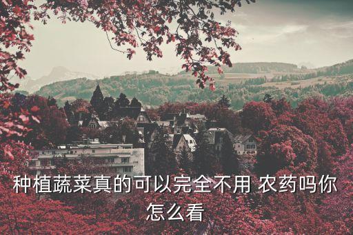 種植蔬菜真的可以完全不用 農(nóng)藥嗎你怎么看