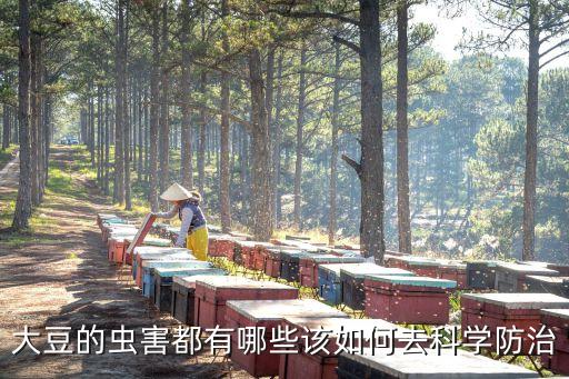 豆田起溺蟲用什么農藥