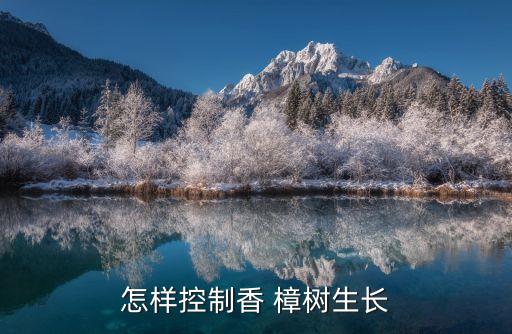 香樟樹打什么農(nóng)藥,殺死香樟樹的最好最快的農(nóng)藥