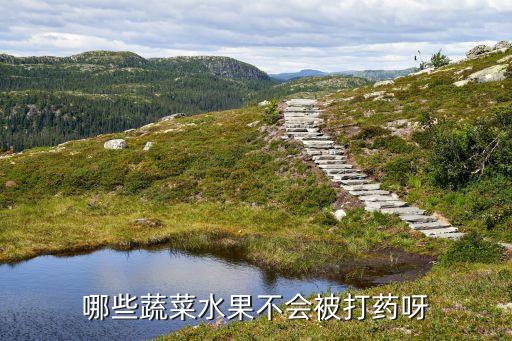 什么菜不殺農藥殘渣,什么是農藥殘渣