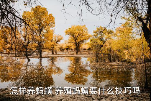 水蛭養殖用什么農藥,水蛭網箱養殖新方法