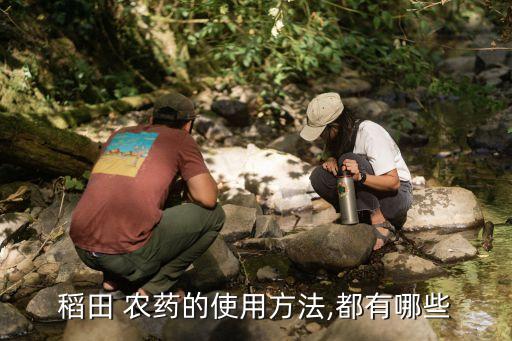 稻谷頁黃打什么農藥,稻谷黃了就像什么似的