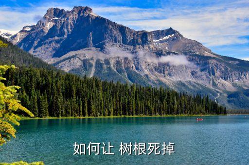 什么農藥能讓樹根死掉快,什么藥能讓樹根死掉