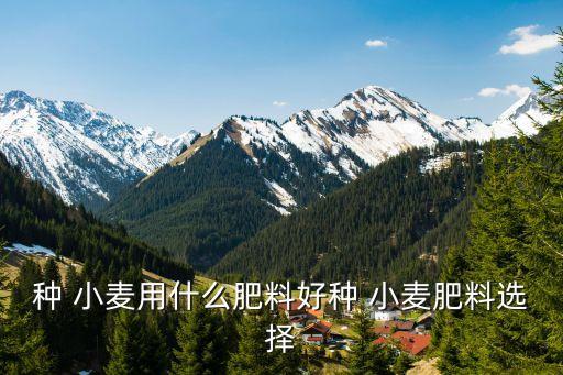 種 小麥用什么肥料好種 小麥肥料選擇