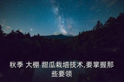 秋季 大棚 甜瓜栽培技術(shù),要掌握那些要領(lǐng)
