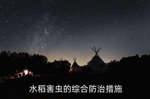 水稻蜘蛛用什么農(nóng)藥治,水稻農(nóng)藥什么時(shí)間打效果最好