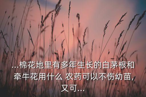野牽牛花打什么農藥,牽牛花克星農藥