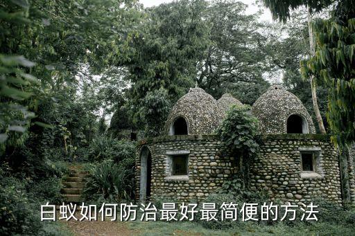 什么農藥殺白蟻效果最好,白蟻用什么農藥