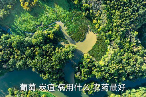 葡萄 炭疽 病用什么 農(nóng)藥最好