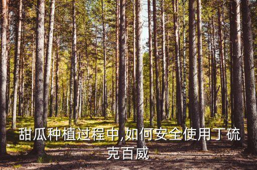 甜瓜用什么農藥最好,甜瓜什么時間種植最好
