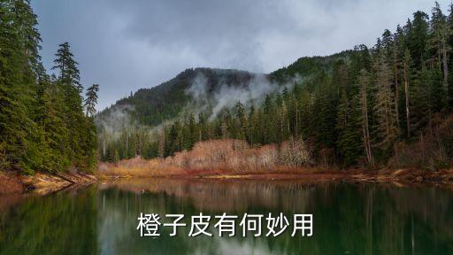 ,刺兒菜根用什么農藥