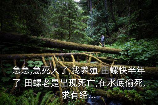 消滅田螺用什么農(nóng)藥,什么農(nóng)藥可以消滅跳蚤
