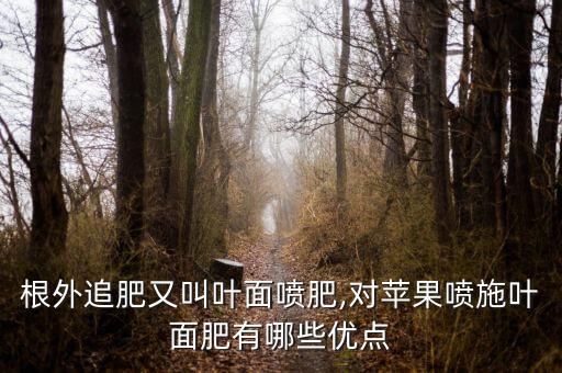 根外追肥又叫葉面噴肥,對蘋果噴施葉面肥有哪些優(yōu)點(diǎn)