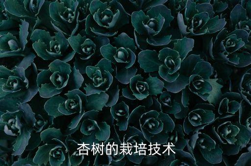  杏樹的栽培技術