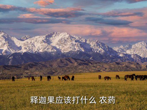 九月紅打什么農(nóng)藥,草莓用什么農(nóng)藥可以催紅