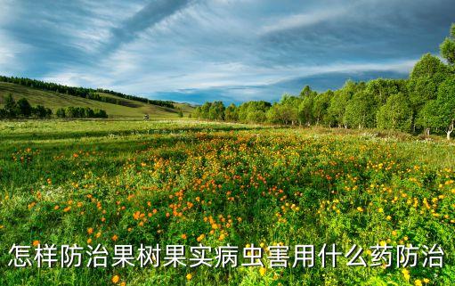 果子里有蟲打什么農藥