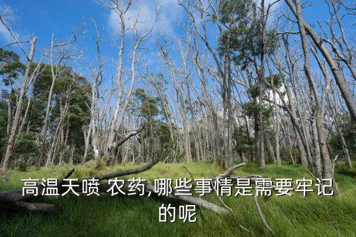 高溫天噴 農藥,哪些事情是需要牢記的呢