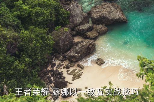 露娜什么時(shí)候加農(nóng)藥,露娜紫霞仙子什么時(shí)候出的
