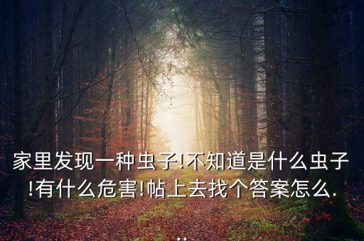 家里發現一種蟲子!不知道是什么蟲子!有什么危害!帖上去找個答案怎么...