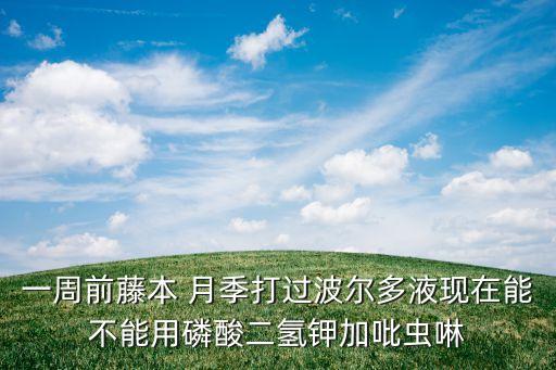 一周前藤本 月季打過波爾多液現在能不能用磷酸二氫鉀加吡蟲啉