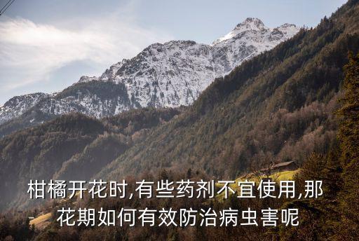 花期用什么農(nóng)藥最好,小麥花期打什么農(nóng)藥
