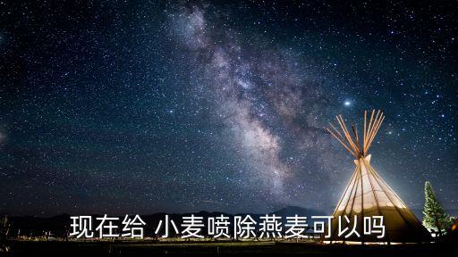 現在小麥打什么農藥,小麥成熟期噴什么農藥