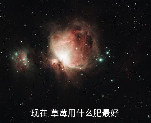 現在 草莓用什么肥最好