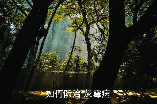 西紅柿灰霉病用什么農藥,灰霉病用什么農藥最好