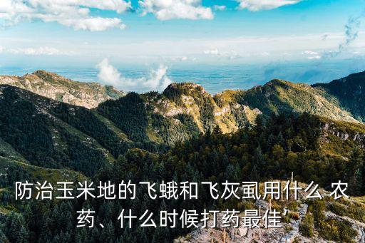 現(xiàn)在用什么農(nóng)藥噴禾蟲,現(xiàn)在有什么農(nóng)藥