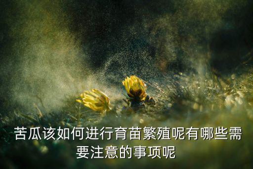  苦瓜該如何進行育苗繁殖呢有哪些需要注意的事項呢