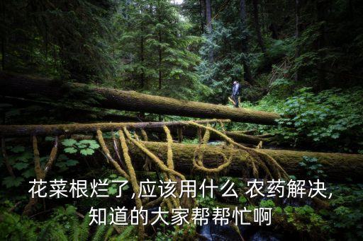 種菜爛根有什么農(nóng)藥,什么農(nóng)藥可以讓樹(shù)爛根