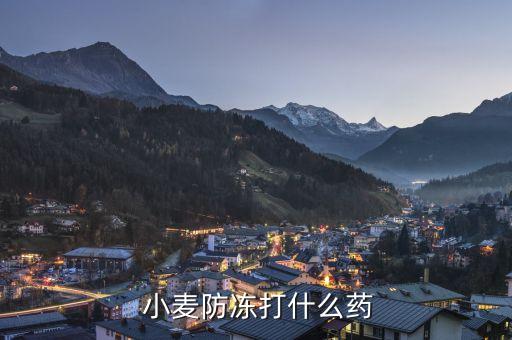 小麥施用什么類型農藥,農藥施用中最常見的噴頭類型是