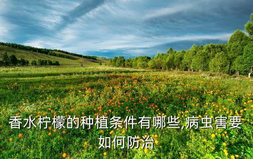 香水檸檬的種植條件有哪些,病蟲害要如何防治