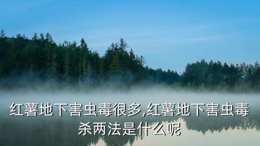 紅薯地下害蟲毒很多,紅薯地下害蟲毒殺兩法是什么呢