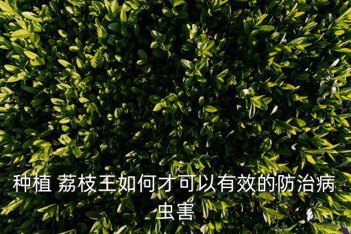 荔枝發(fā)霉用什么農(nóng)藥好使