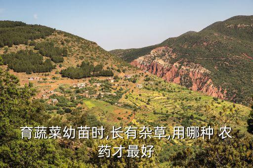 種植什么農藥最好最快,種植馬鈴薯要用什么農藥