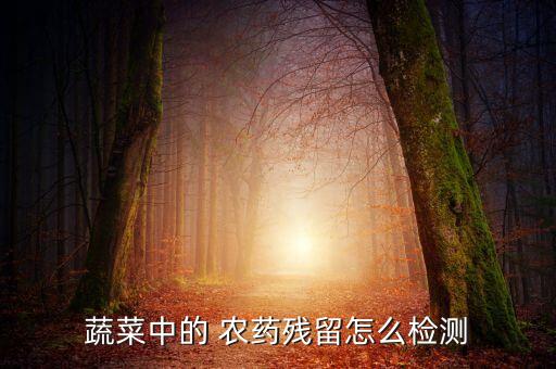 蔬菜中的 農(nóng)藥殘留怎么檢測