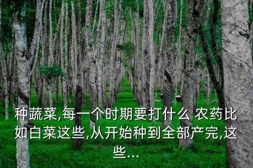 種蔬菜,每一個時期要打什么 農藥比如白菜這些,從開始種到全部產完,這些...