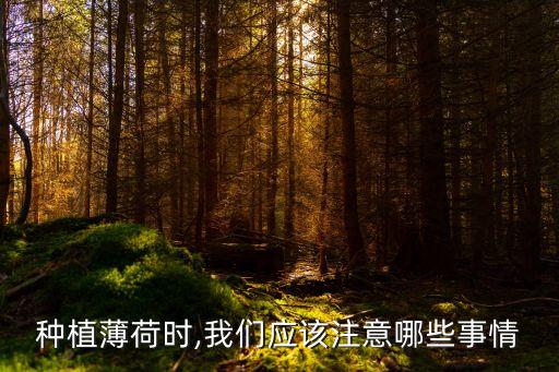 薄柯怕什么農藥,根腐病最怕什么農藥