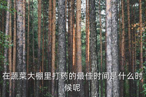 在蔬菜大棚里打藥的最佳時間是什么時候呢