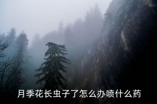  月季花長(zhǎng)蟲(chóng)子了怎么辦噴什么藥